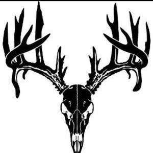 Meet your Posher, Wiley